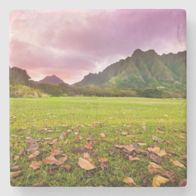 Jurassic Sunset Stone Coaster (Front)