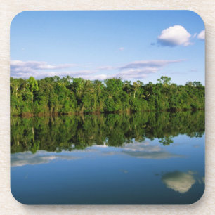 Juruena, Brazil. Forested river bank reflected Coaster