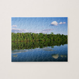 Juruena, Brazil. Forested river bank reflected Jigsaw Puzzle