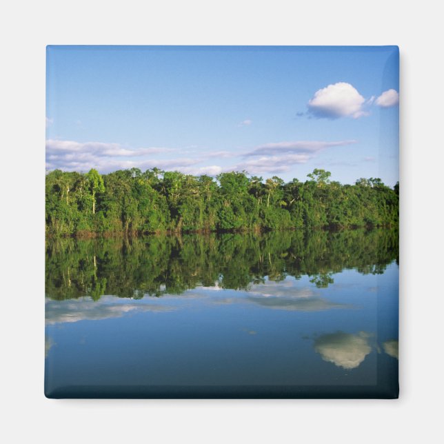 Juruena, Brazil. Forested river bank reflected Magnet (Front)