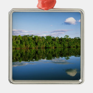 Juruena, Brazil. Forested river bank reflected Metal Tree Decoration