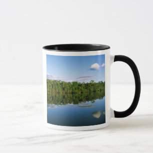 Juruena, Brazil. Forested river bank reflected Mug