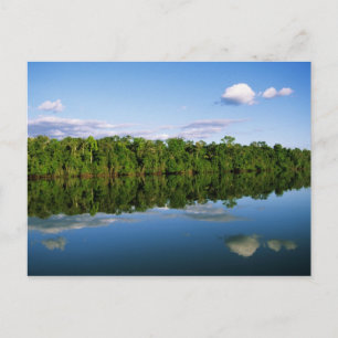 Juruena, Brazil. Forested river bank reflected Postcard