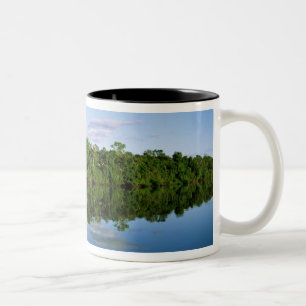Juruena, Brazil. Forested river bank reflected Two-Tone Coffee Mug