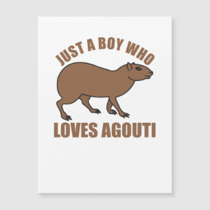 Just A Boy Who Loves Agoutis Cute Agouti
