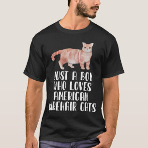Just A Boy Who Loves American Wirehair Cats T-Shirt