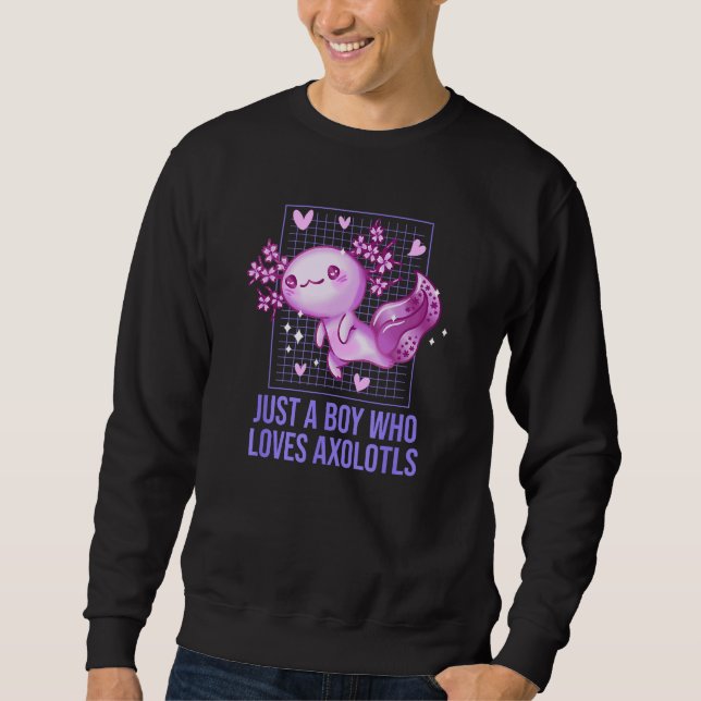 Just a Boy Who Loves Axolotl Salamander  Axolotl P Sweatshirt (Front)