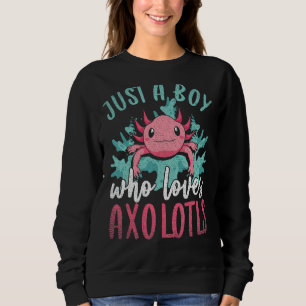 Just A Boy Who Loves Axolotls Amphibian Pet Axolot Sweatshirt