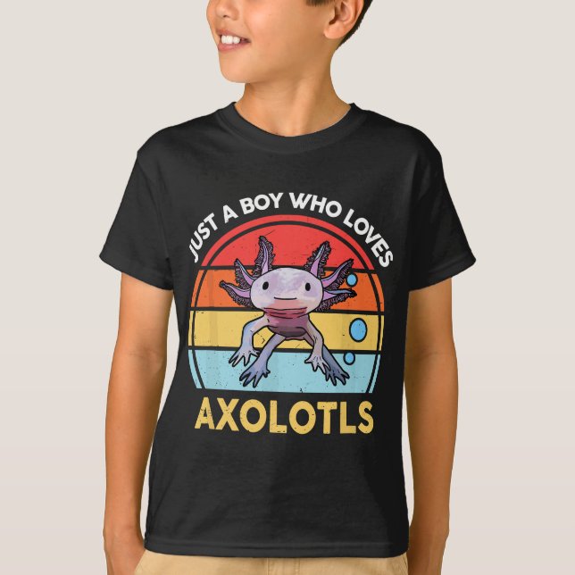 Just A Boy Who Loves Axolotls Cute Axolotl T-Shirt (Front)