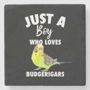 Just A Boy Who Loves Budgerigars Parrot Stone Coaster
