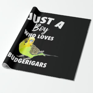 Just A Boy Who Loves Budgerigars Parrot Wrapping Paper