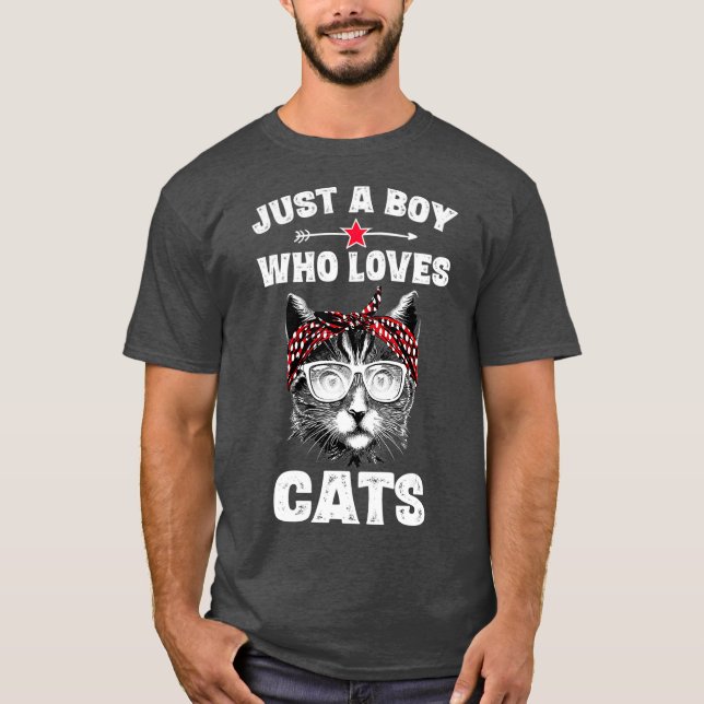 Just A Boy Who Loves Cats Funny Cat Saying Gifts T-Shirt (Front)