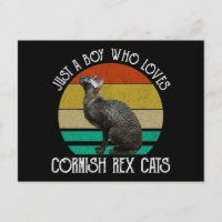 Just A Boy Who Loves Cornish Rex Cats