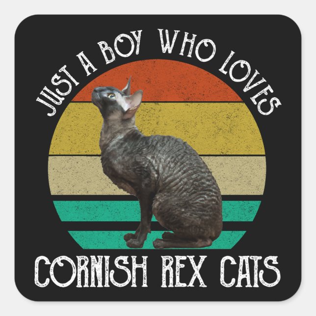 Just A Boy Who Loves Cornish Rex Cats Square Sticker (Front)