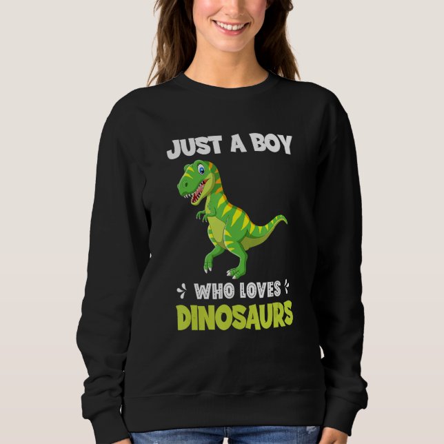 Just A Boy Who Loves Dinosaurs Rawr Rex Dinosaur Sweatshirt (Front)