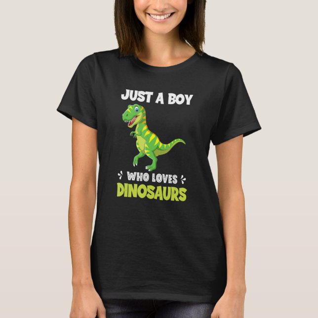Just A Boy Who Loves Dinosaurs Rawr Rex Dinosaur T-Shirt (Front)