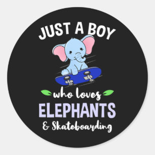 Just A Boy Who Loves Elephants And Skateboarding  Classic Round Sticker