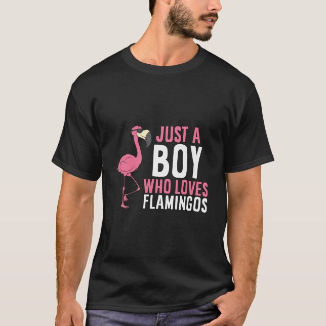 Just A Boy Who Loves Flamingos T-Shirt (Front)