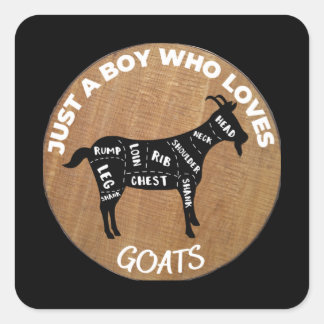 Just A Boy Who Loves Goats Square Sticker