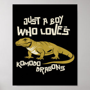 Just A Boy Who Loves Komodo Dragons Reptile Animal Poster