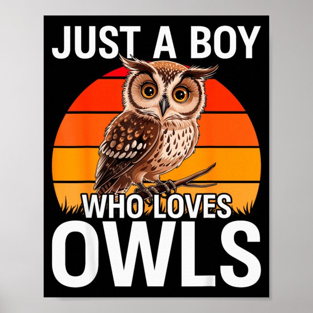 Just A Boy Who Loves Owls For Toddlers Boys Kids B Poster (Front)