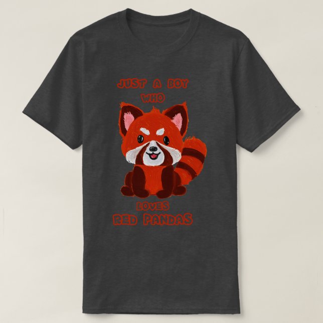 Just A Boy Who Loves Red Pandas T-Shirt (Design Front)