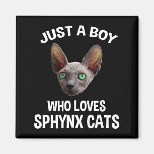 Just A Boy Who Loves Sphynx Cats Magnet