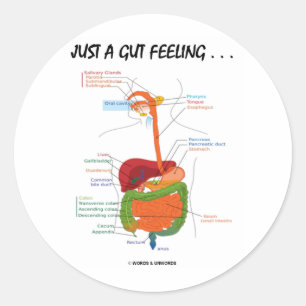 Just A Gut Feeling... (Digestive System Humour) Classic Round Sticker