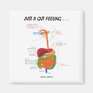 Just A Gut Feeling... (Digestive System Humour) Magnet