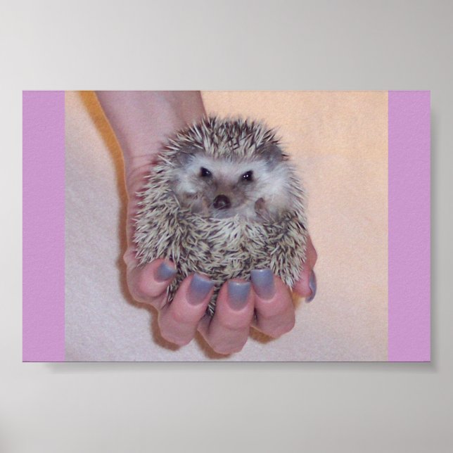 Just a Handful Hedgehog Poster (Front)