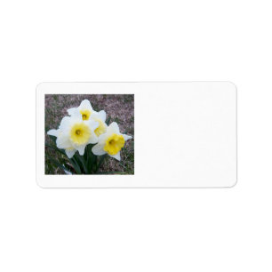 Just a Little Daffodil... Label