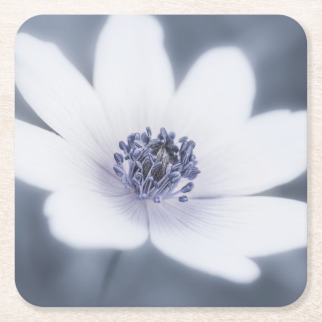 Just A Little Wildflower Square Paper Coaster (Front)