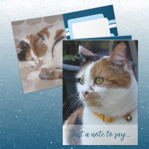Just a note to say 3 cat photos blue card