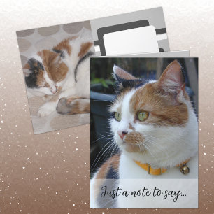 Just a note to say 3 cat photos grey card