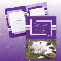 Just a note to say cat photos white purple