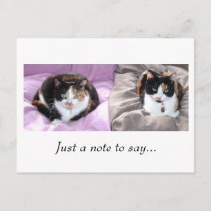 Just a note to say... postcard