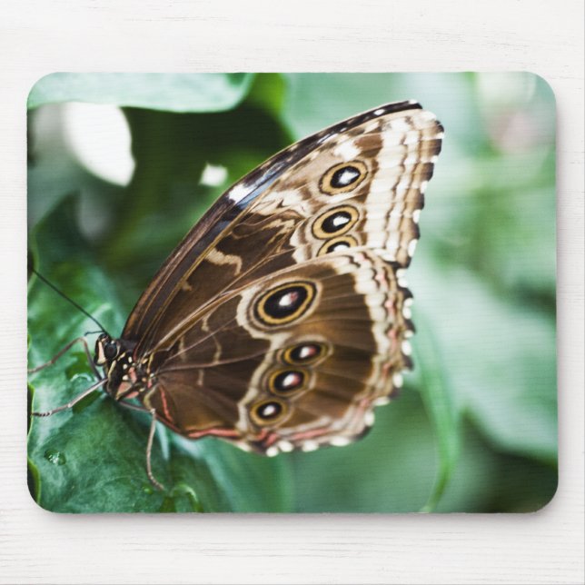 Just a Peak Mousepad (Front)