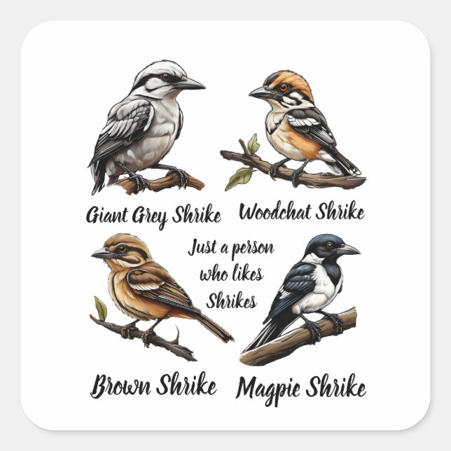 just a person who likes shrikes  square sticker (Front)