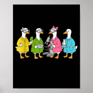 Just a silly goose doing science poster