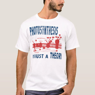 Just a Theory T-Shirt