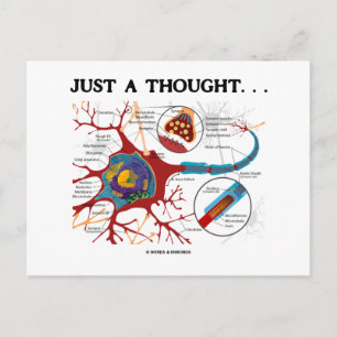 Just A Thought... (Neuron / Synapse) Postcard