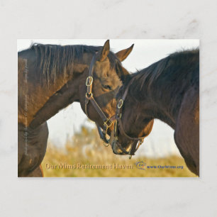 Just a Touch Postcard