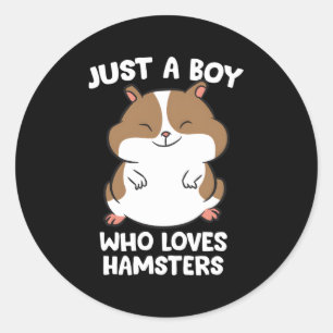 Just A Who Loves Hamsters Classic Round Sticker