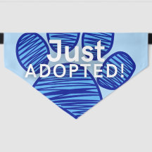 Just Adopted Blue Paw Dog Adoption