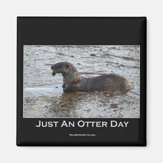 Just an Otter Day Gifts Magnet (Front)