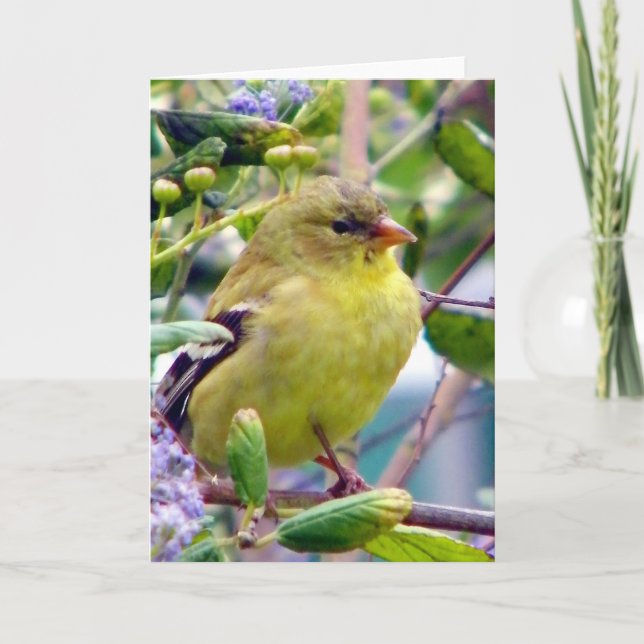 Just because card (Front)