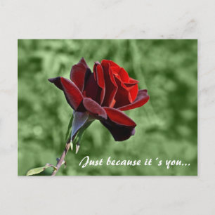 Just because it´s you Postcard