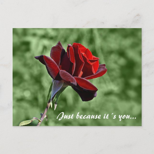 Just because it´s you Postcard (Front)