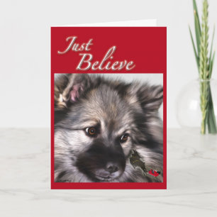 "Just Believe" Keeshond Christmas card