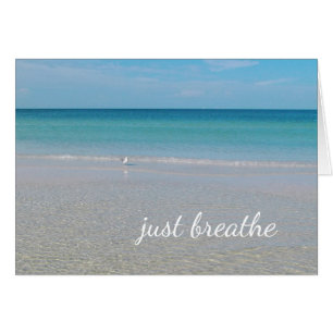 Just Breathe Sea Gull on the Beach